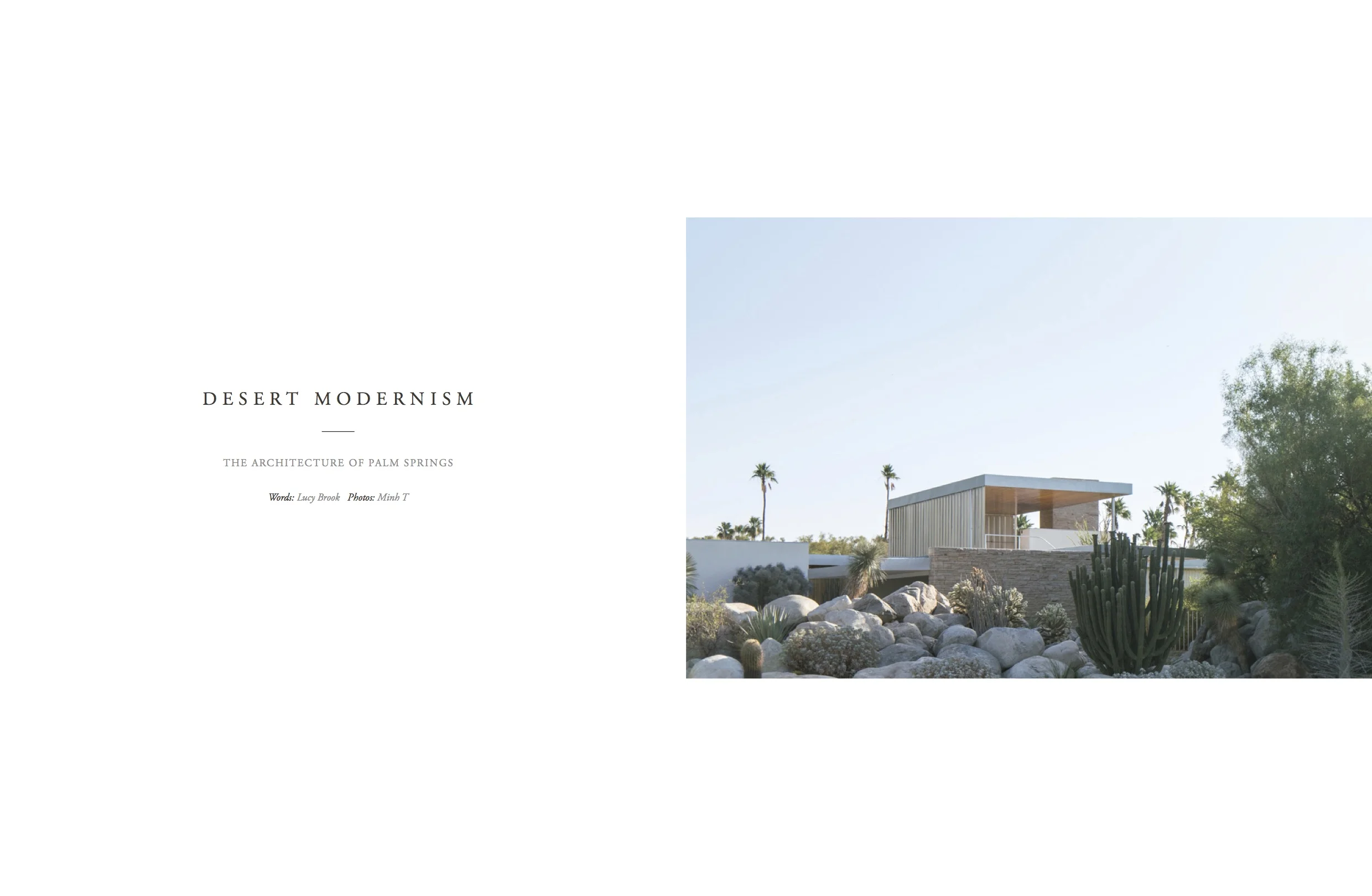 Volume 12 - desert modernism.jpg