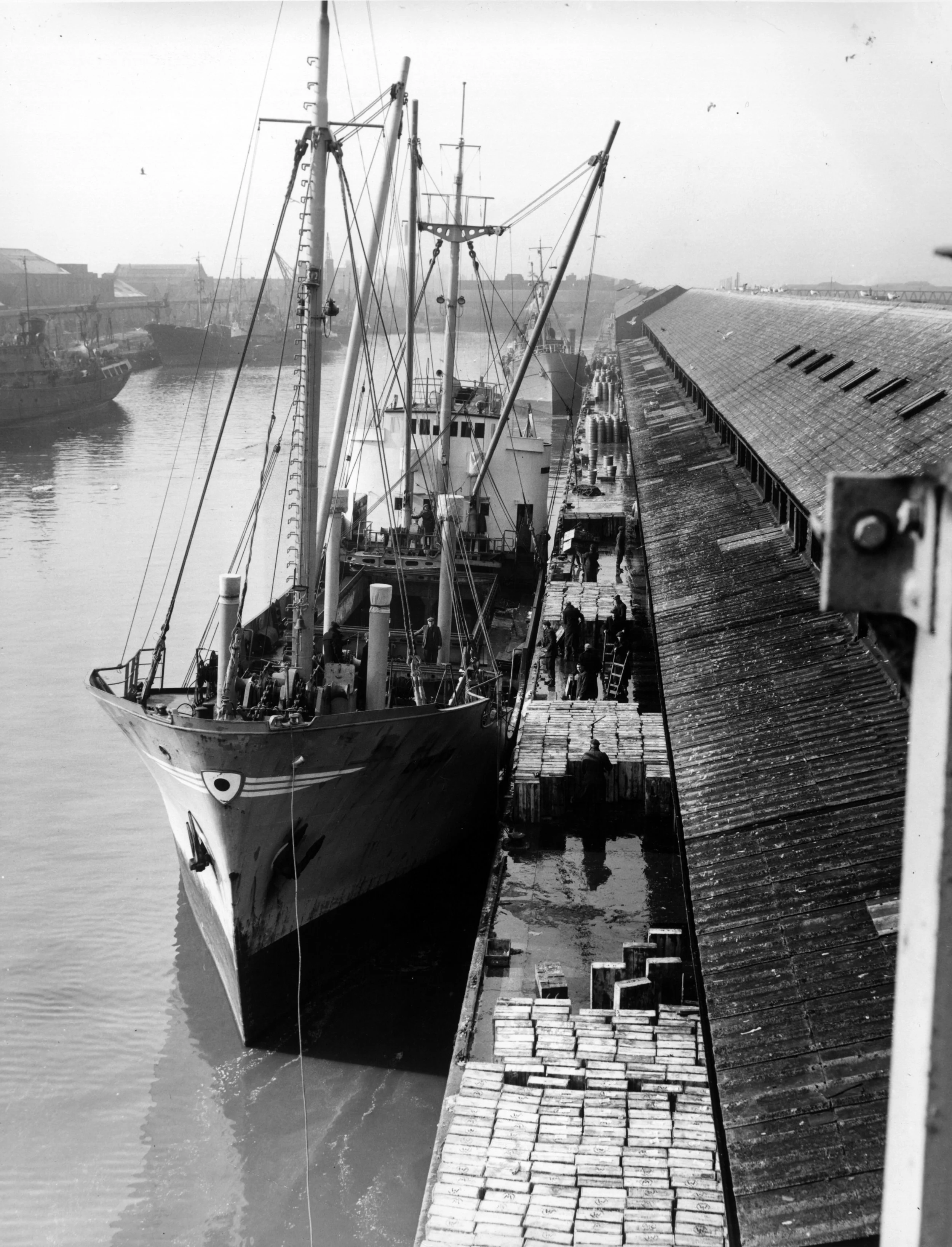 Landing boxed Norwegian Herring. St. Andrew's Dock, Hull. March, 1955. Photographer - Donald I. Innes Commissioned by ABP.