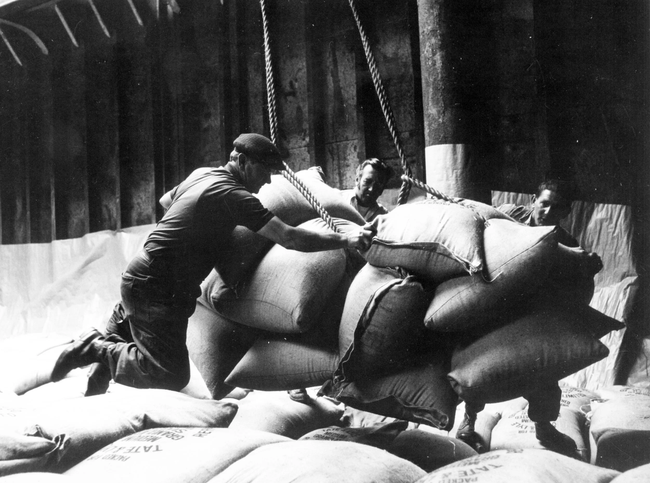 M.V. 'Irene' loading 10,000 tons of sugar for Algeria. Queen Elizabeth Dock, Hull. September, 1972. Photographer - unknown Commissioned by ABP.
