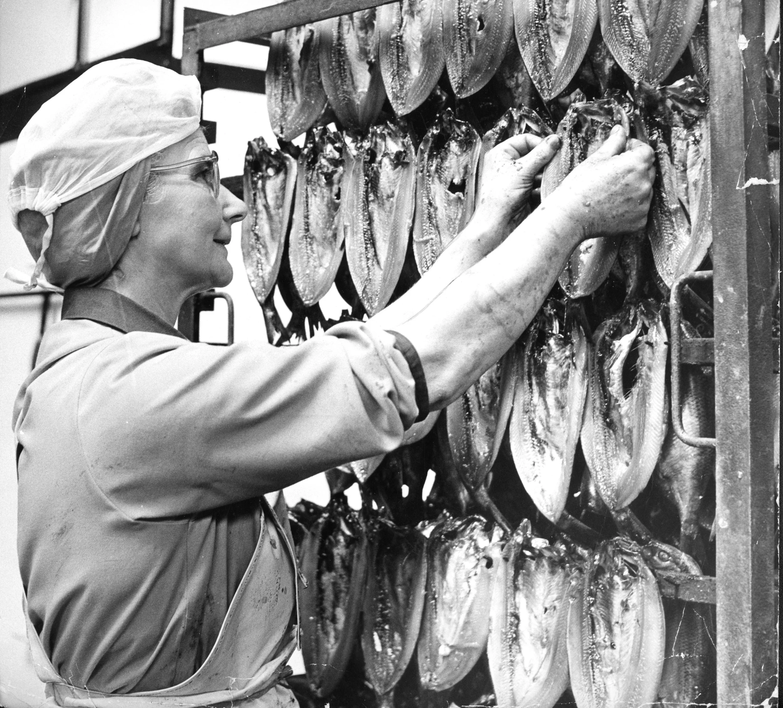 Mrs Doris Dinemack, a tenderer at West Dock Street, putting kippers on hooks for curing. Commissioned by Hull Daily Mail.