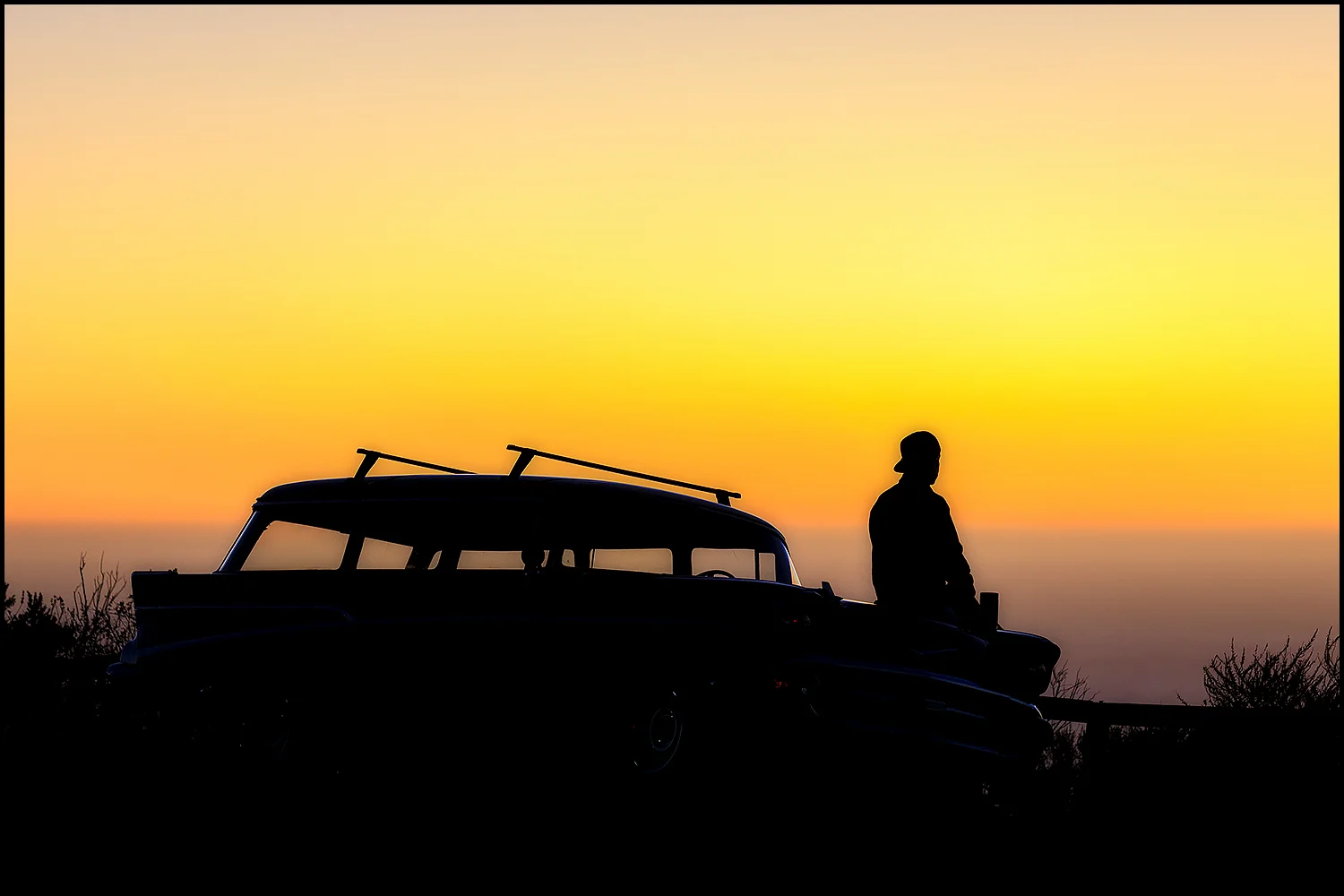 Woody at Sunset, Los Osos, CA
