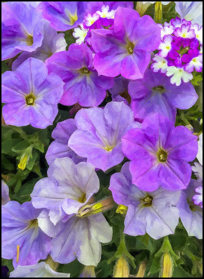 Floral 'Painting'