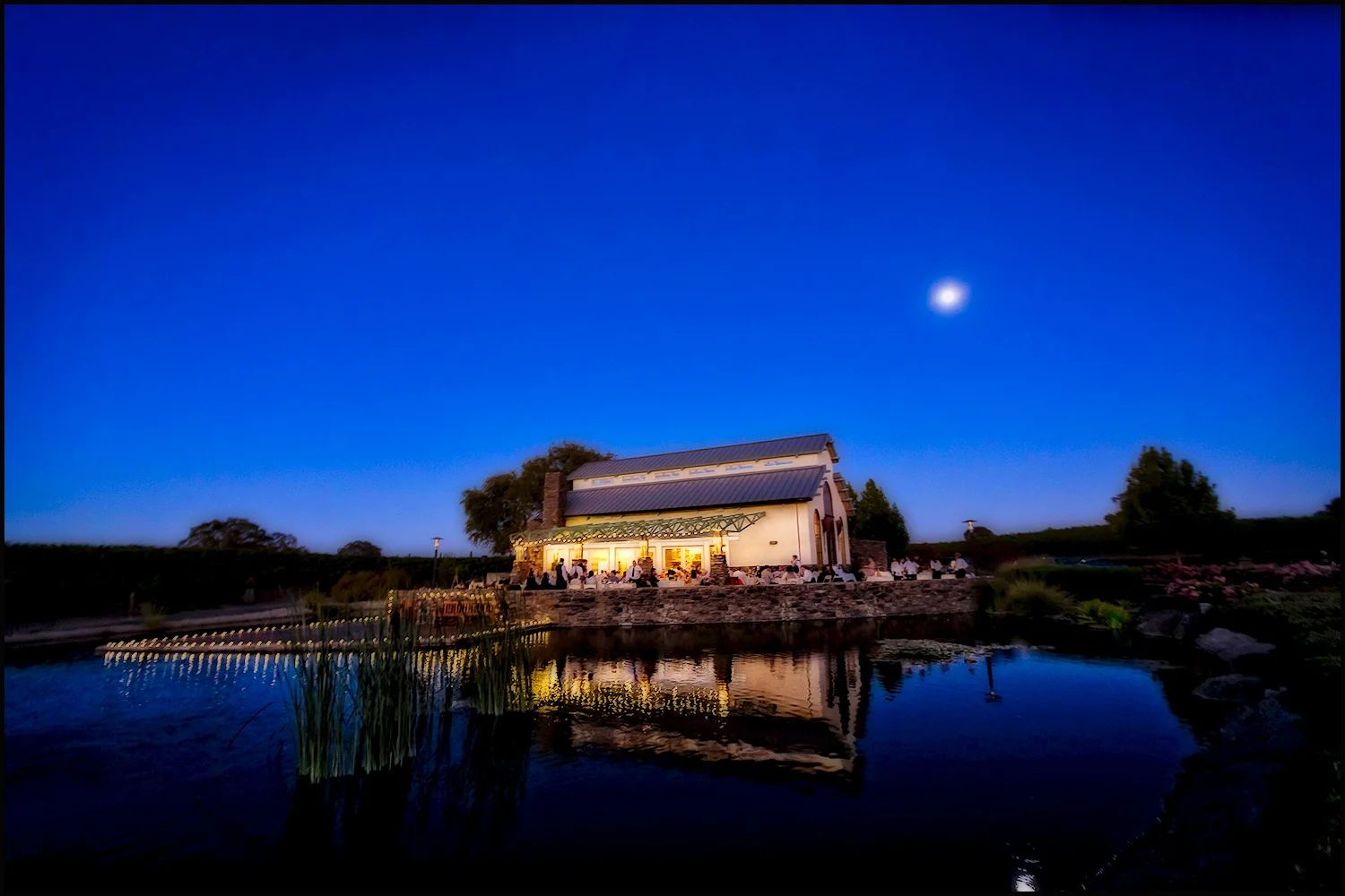 Bianchi Vineyard at night