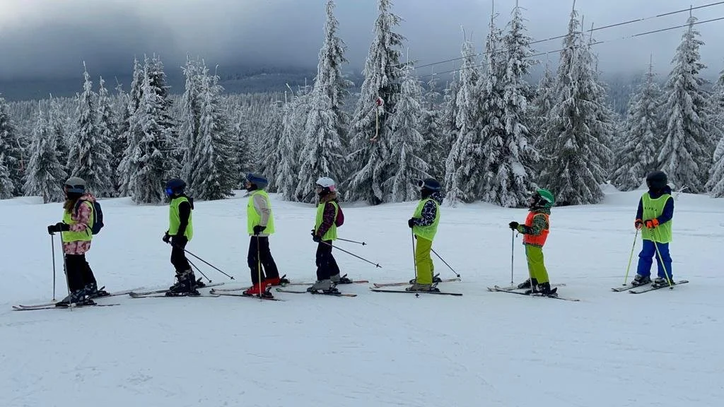 WhatsApp Image 2024-11-12 at 15.37.15.jpeg