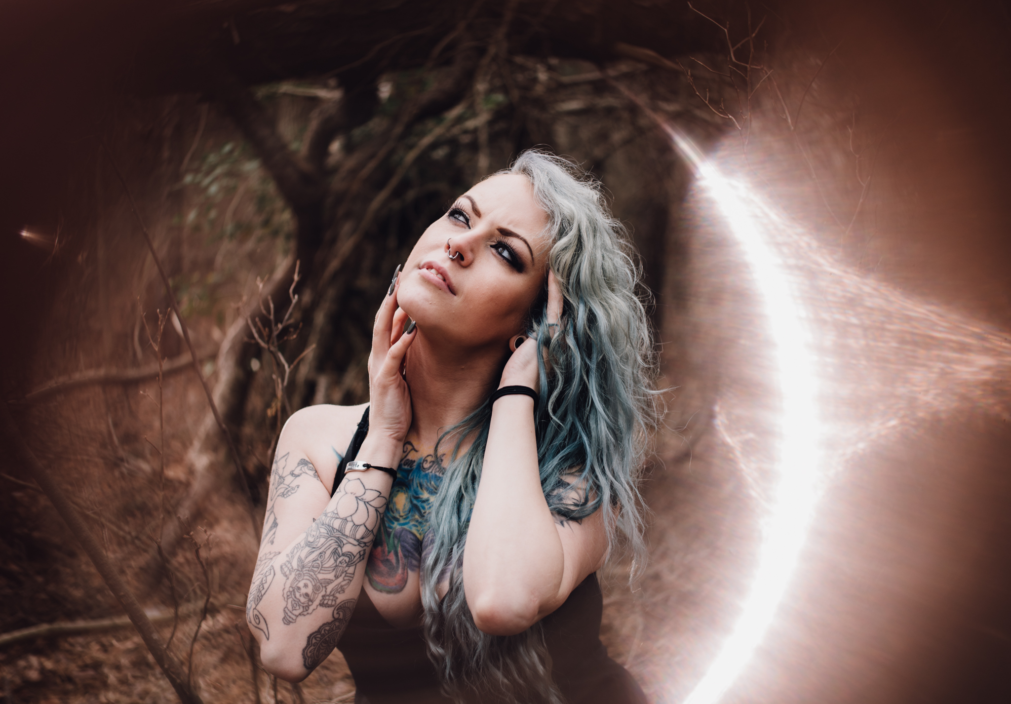 FBWoods05.jpg