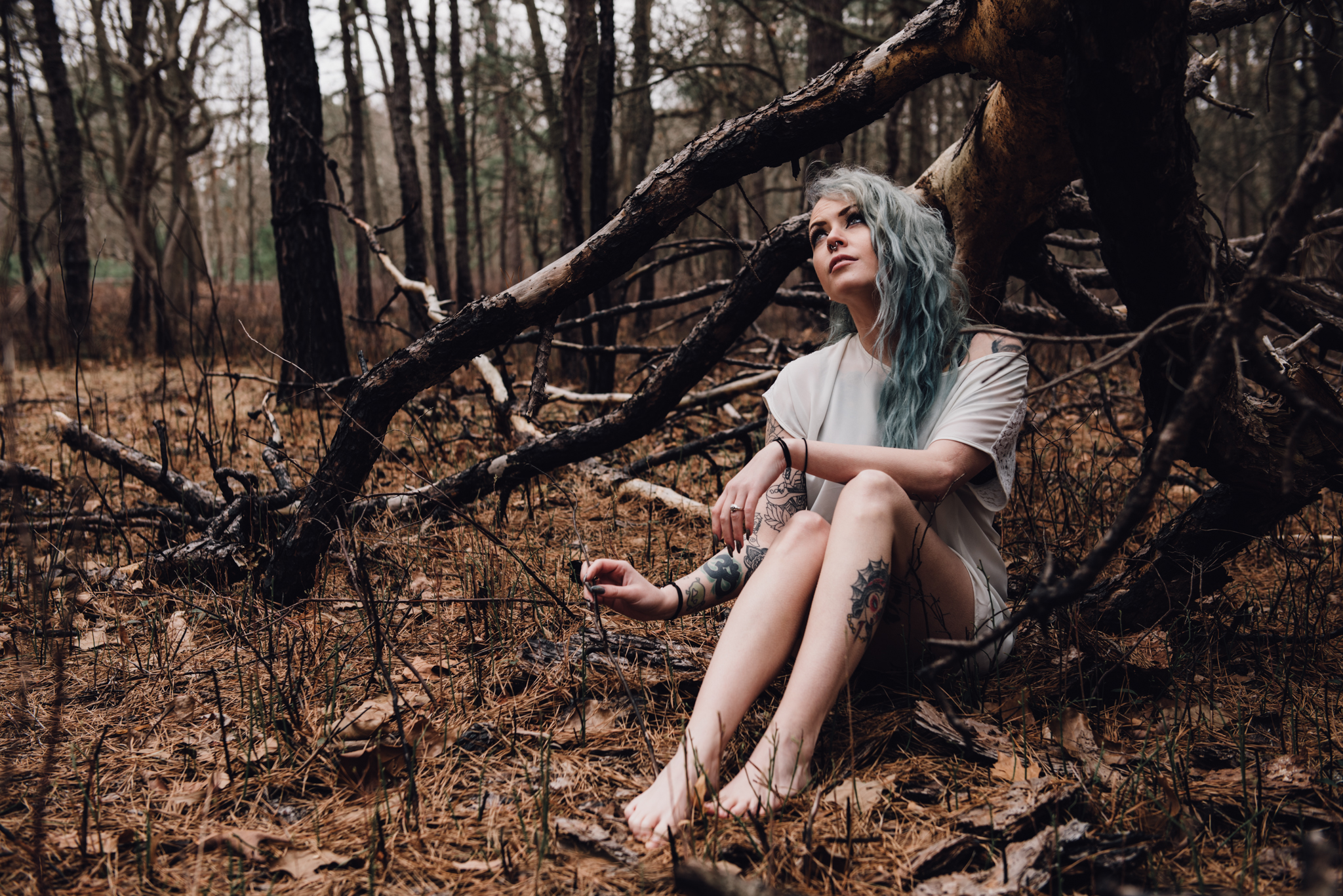 FBWoods06.jpg