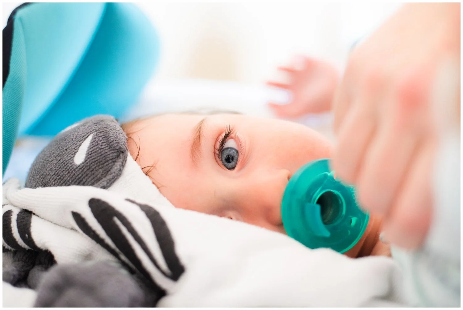 New Brunswick, NJ: First Birthday Portraits