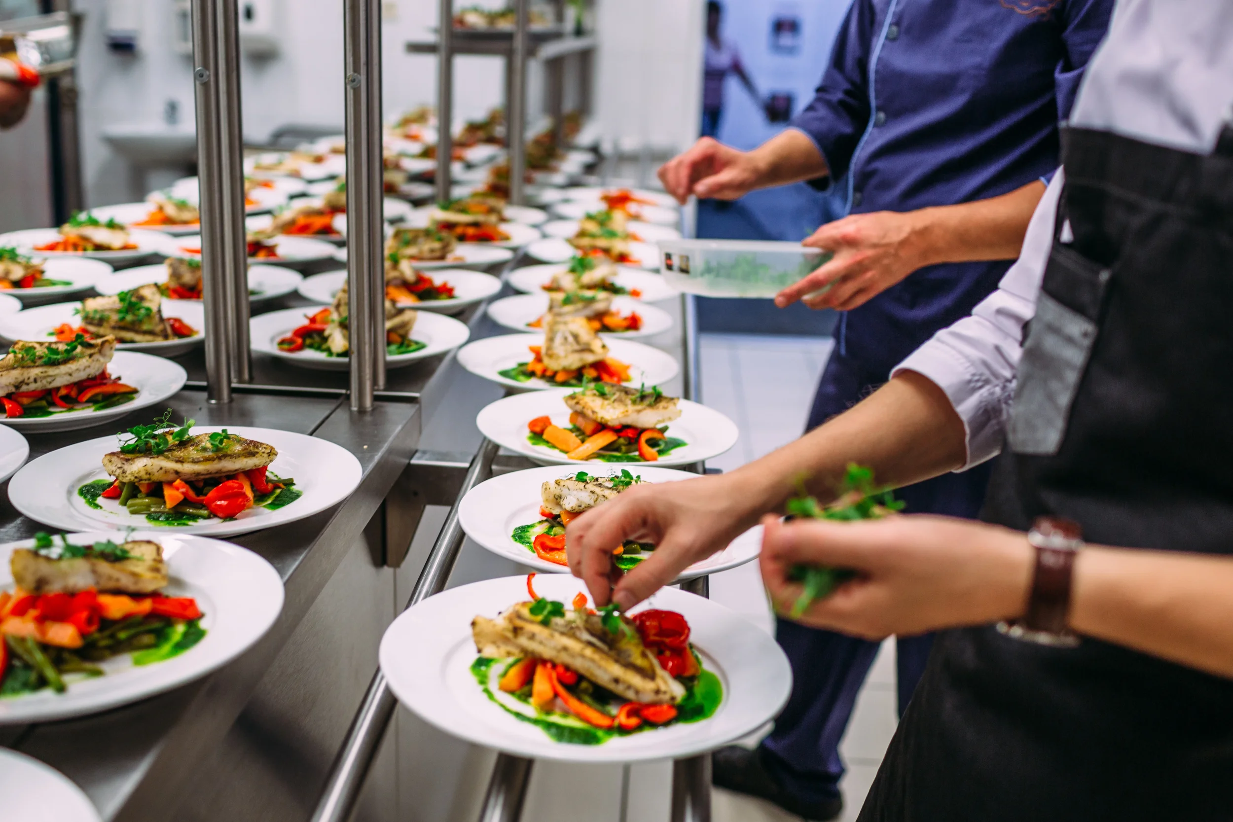 Chefs preparing plates of grilled fish with vegetables in a commercial kitchen, arranged on a long countertop.