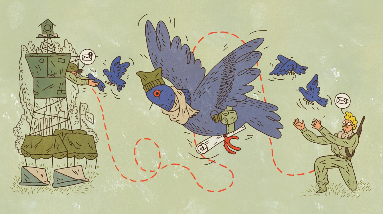 pigeon.jpg