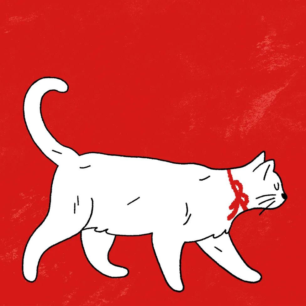 red_background_3.jpg