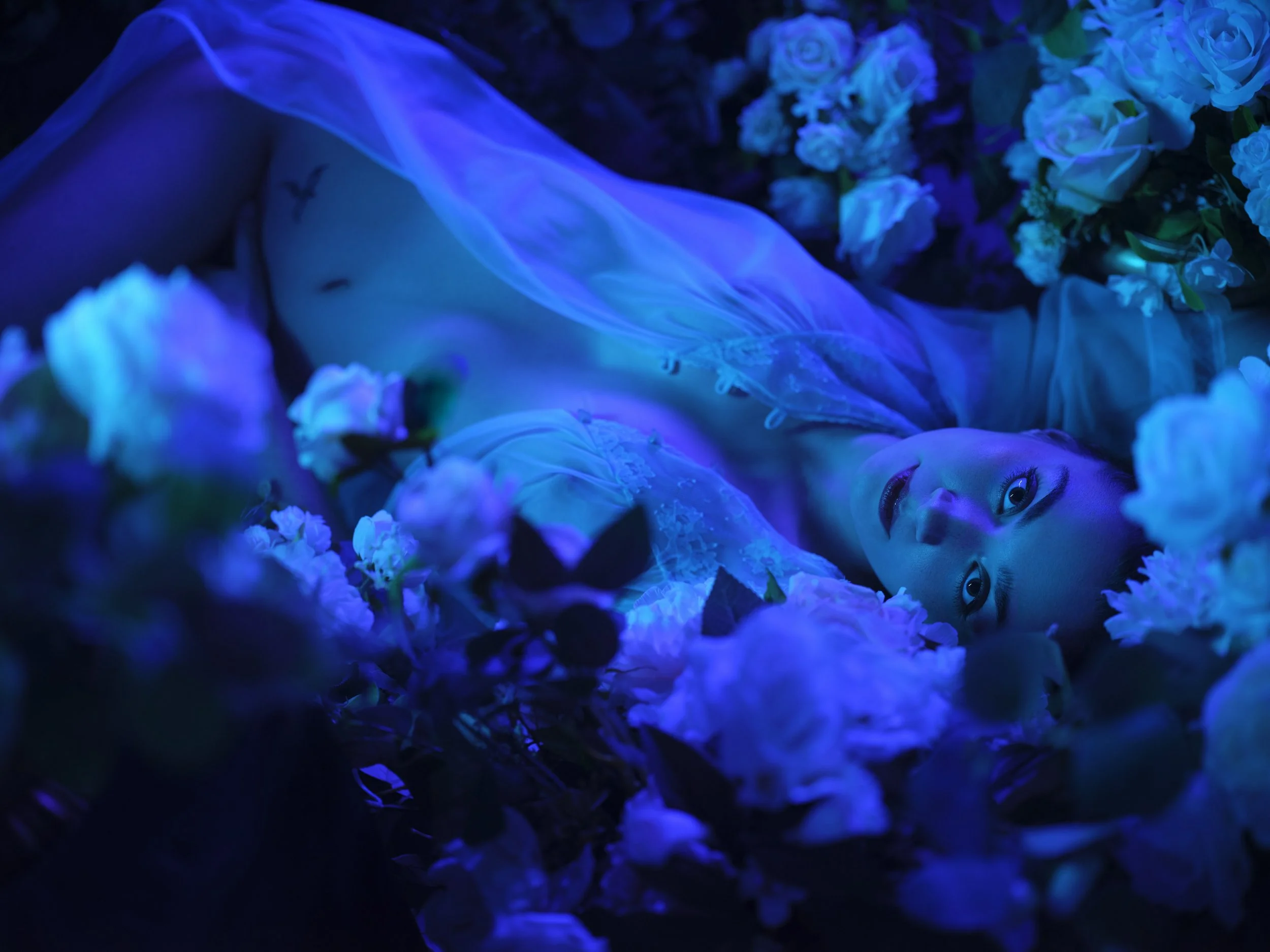 Untitled Capture14132.jpg