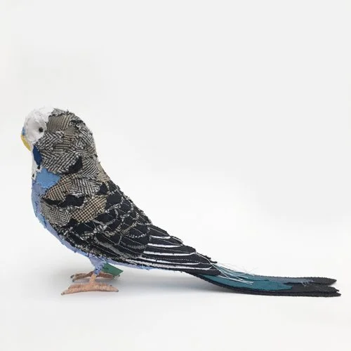 blue_budgie_sml.jpg