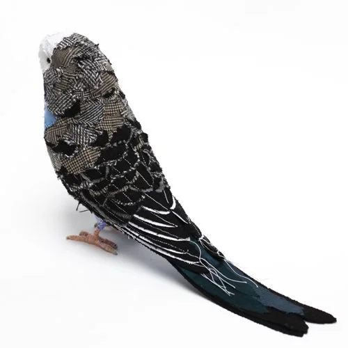 blue_budgie4_sml.jpg