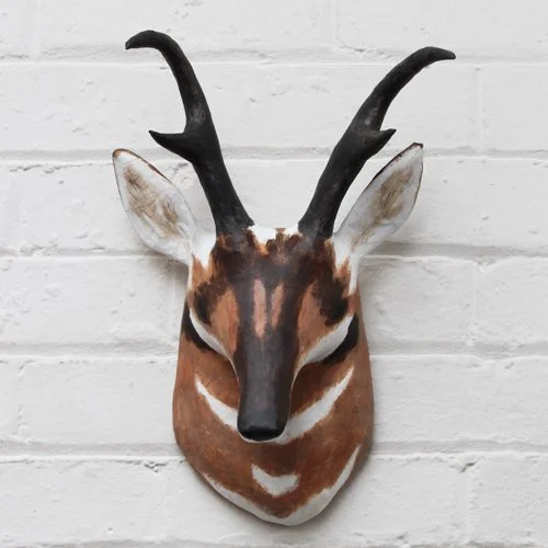 Pronghorn_sml.jpg