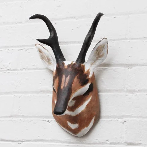 Pronghorn2_sml.jpg
