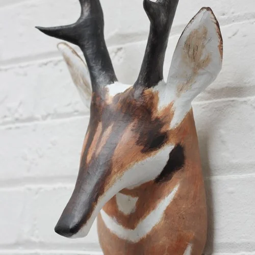 Pronghorn4_sml.jpg