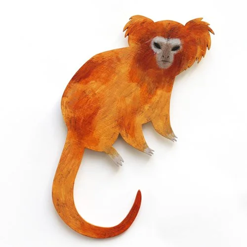 golden_lion_tamarin2_sml.jpg