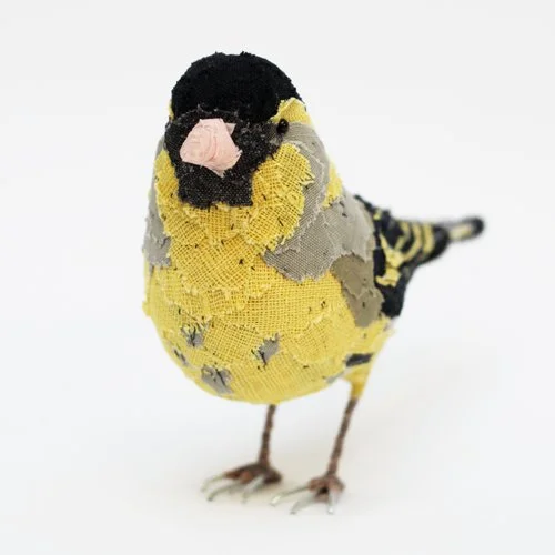 Siskin2_sml.jpg