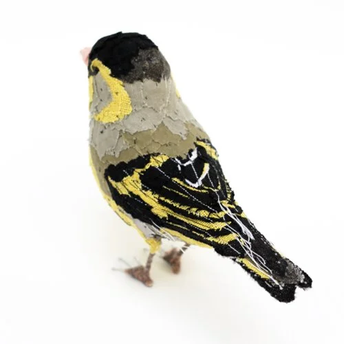Siskin3_sml.jpg