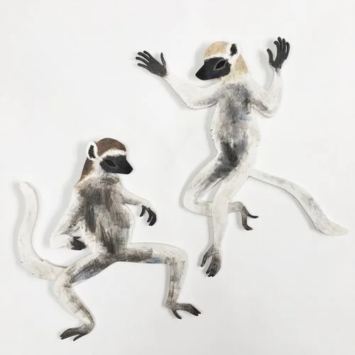sifakas.jpg