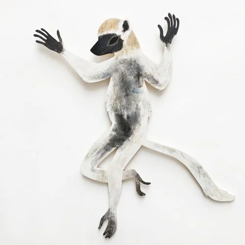 sifaka2_2.jpg