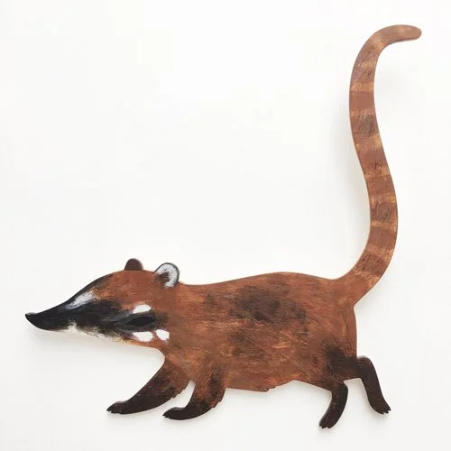 coati2.jpg