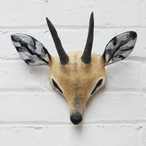 Klipspringer3.jpg