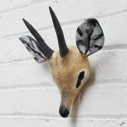 Klipspringer.jpg