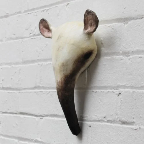 Tamandua3.jpg
