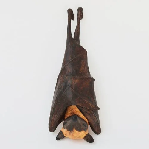large_flying_fox3_sml.jpg