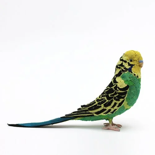 YellowGreenBudgie4_sml.jpg