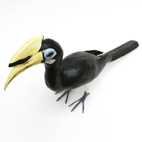 OrientalPiedHornbill3_sml.jpg