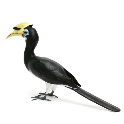 OrientalPiedHornbill4_sml.jpg