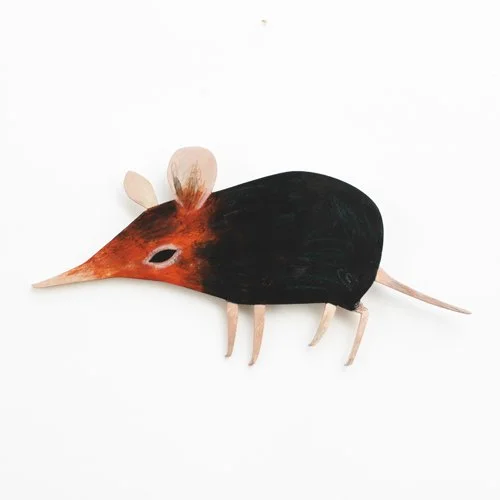 elephant_shrew_deco2_sml.jpg