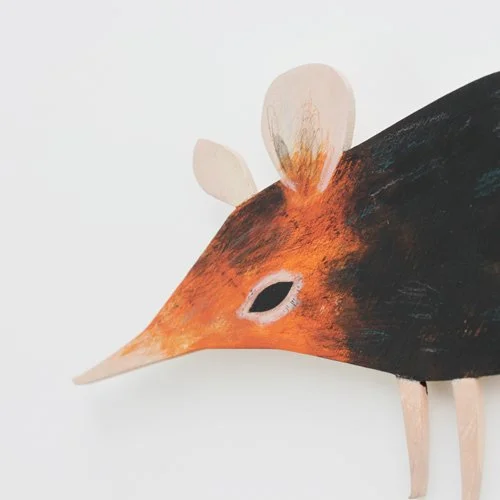 elephant_shrew_deco3_sml.jpg