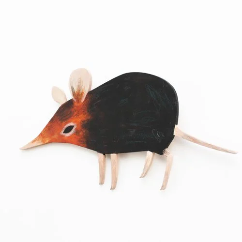 elephant_shrew_deco_sml.jpg