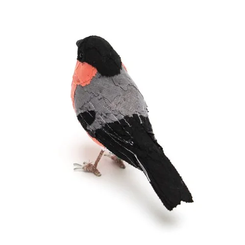 bullfinch3_sml.jpg