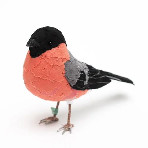 bullfinch4_sml.jpg