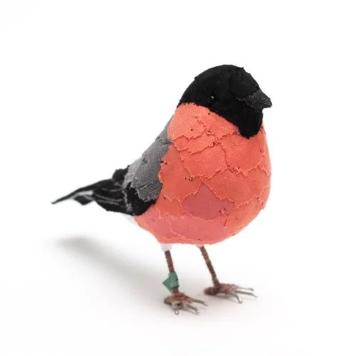 bullfinch5_sml.jpg