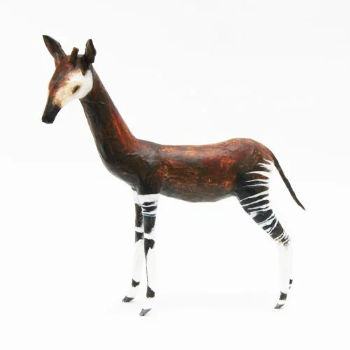 okapi5_sml.jpg