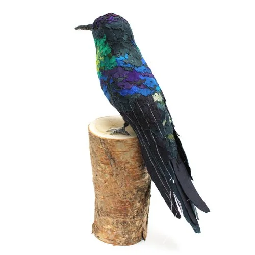 violet_crowned_woodnymph_sml.jpg