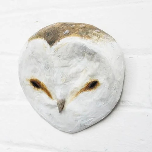 barn_owl2_sml.jpg
