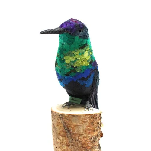 violet_crowned_woodnymph3.jpg