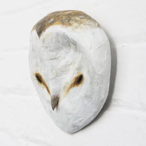barn_owl_sml.jpg