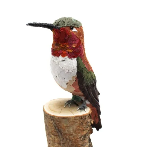 rufous_hummingbird_sml.jpg