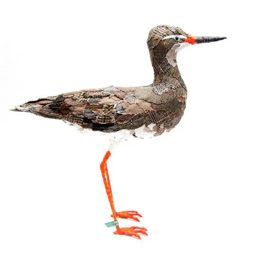 Redshank4_sml.jpg