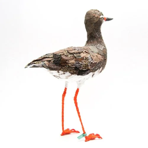 Redshank_sml.jpg