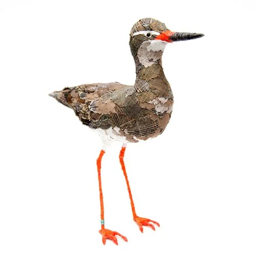 Redshank3_sml.jpg