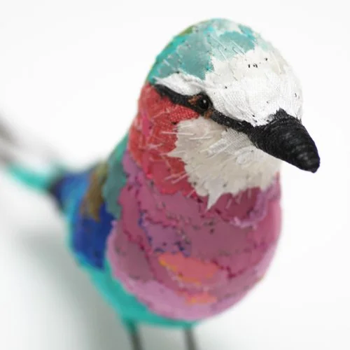 Lilac_breasted_roller5_sml_sq.jpg
