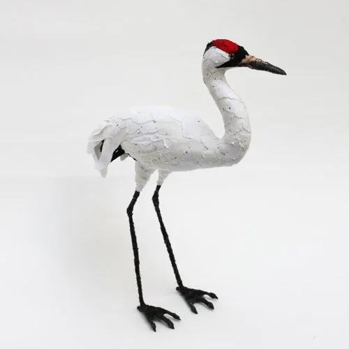 Whooping_crane_sml.jpg
